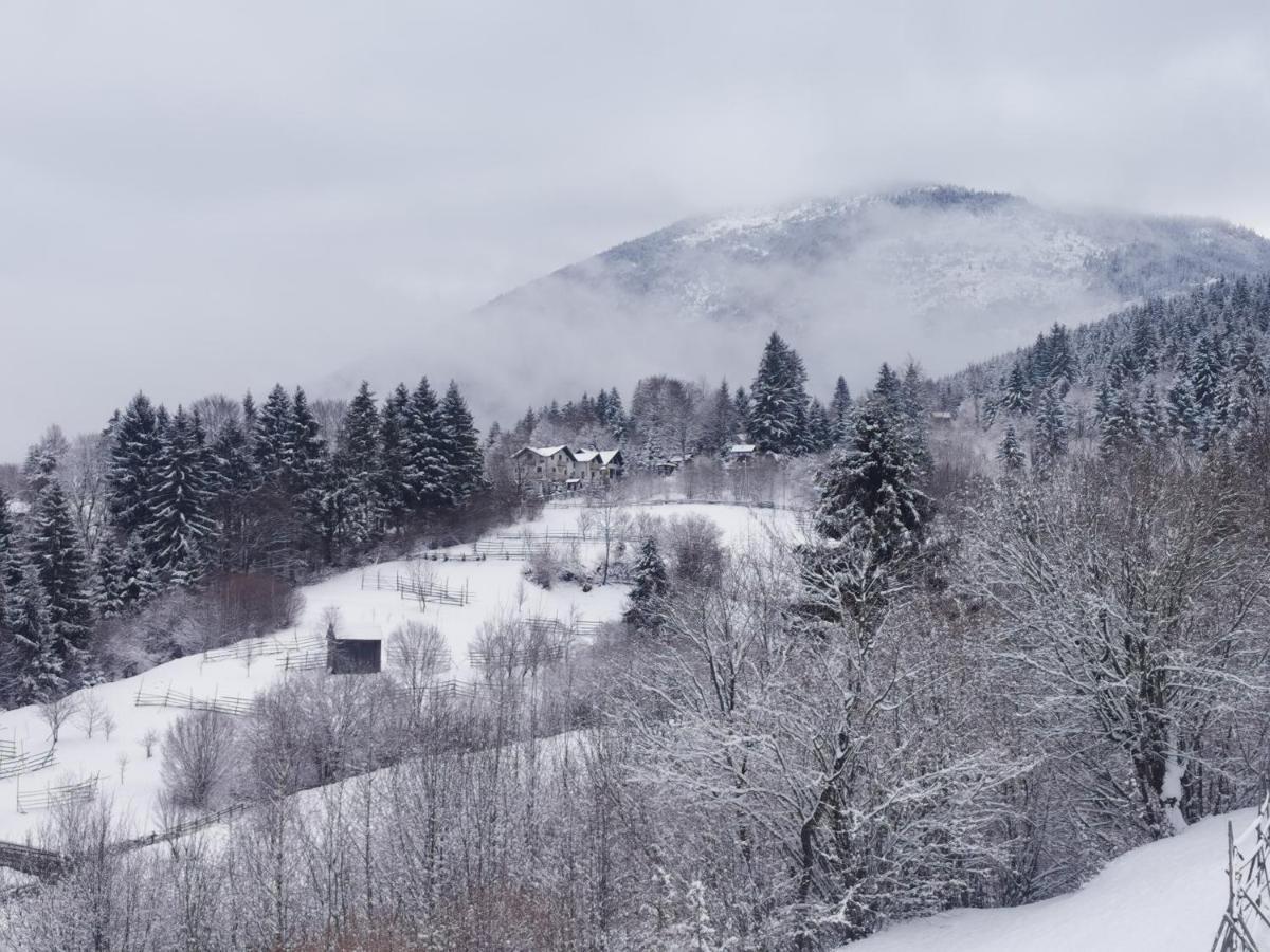 Отель Alpina Panoramic Мойсей Экстерьер фото