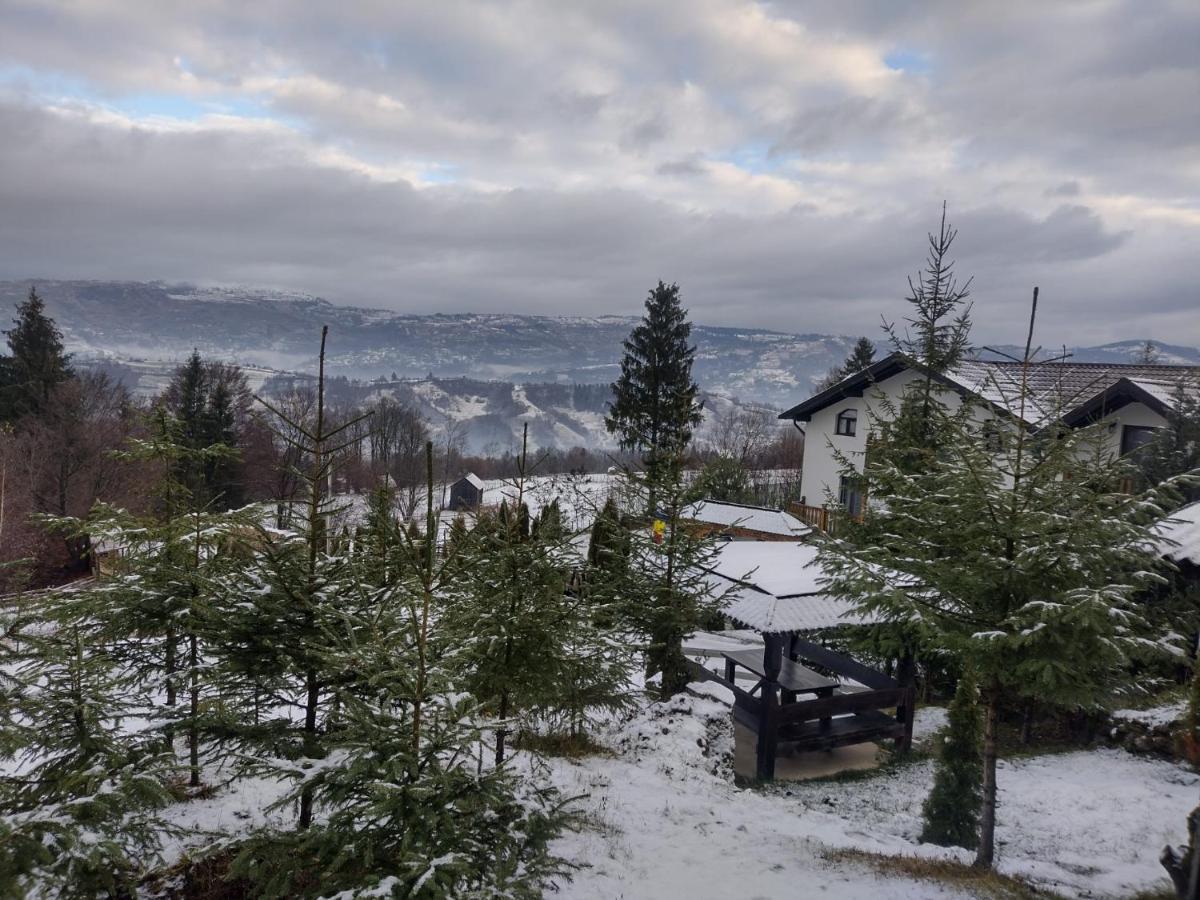 Отель Alpina Panoramic Мойсей Экстерьер фото