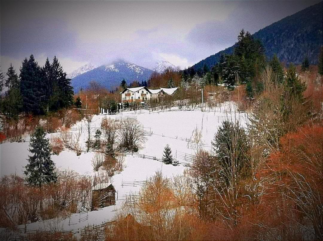 Отель Alpina Panoramic Мойсей Экстерьер фото