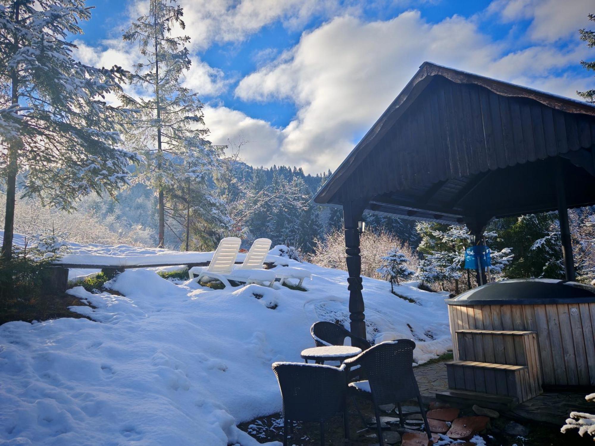 Отель Alpina Panoramic Мойсей Экстерьер фото