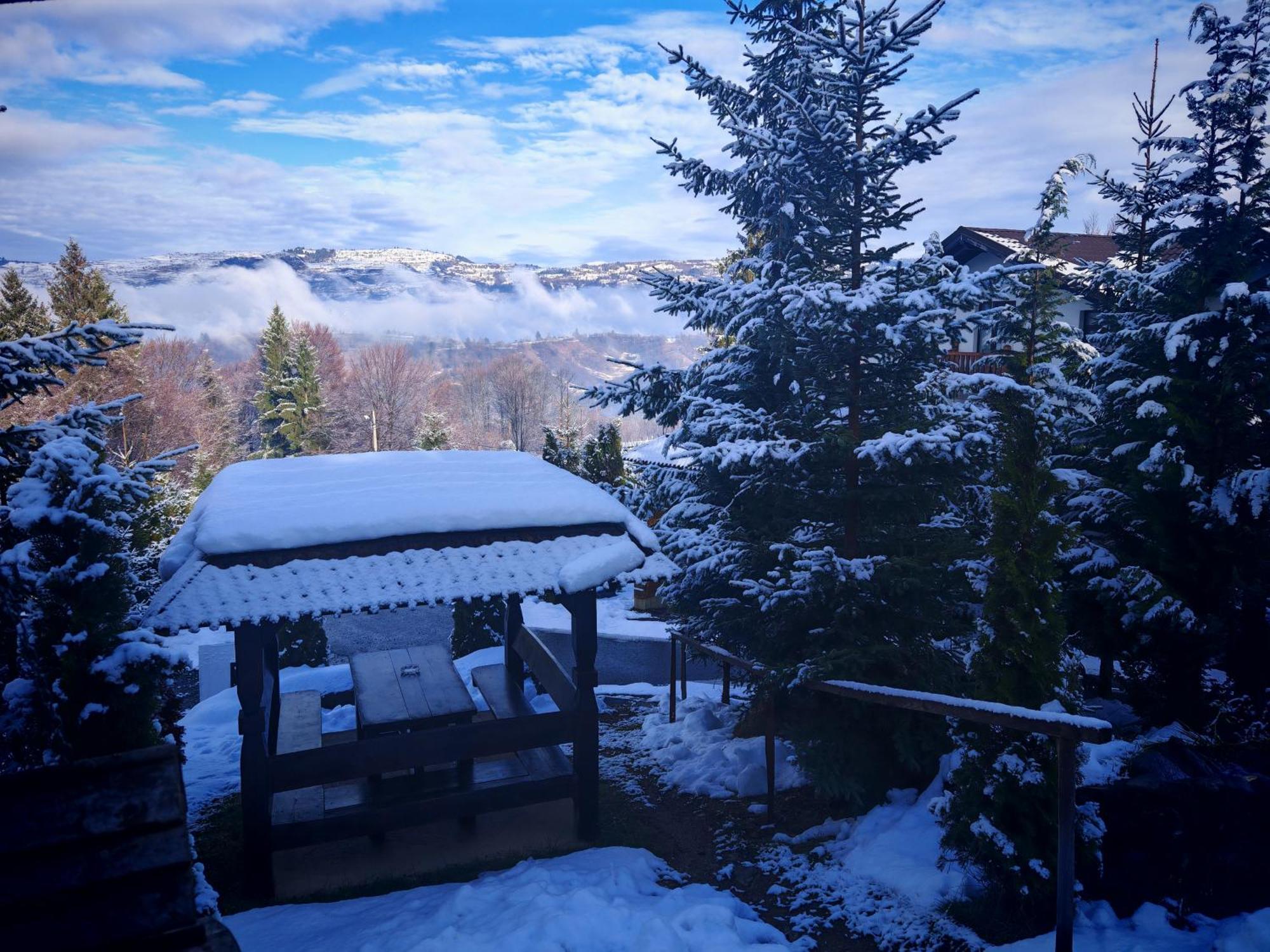 Отель Alpina Panoramic Мойсей Экстерьер фото
